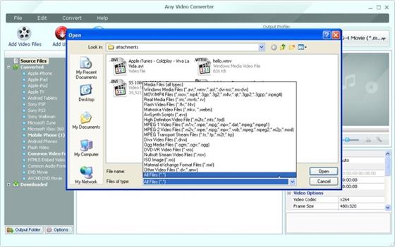 Скриншот программы any video converter