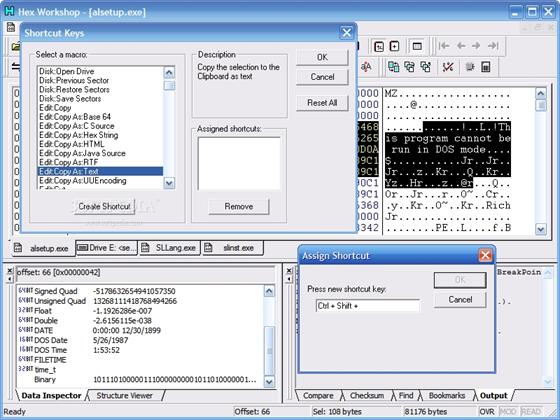 Скриншот программы hex workshop