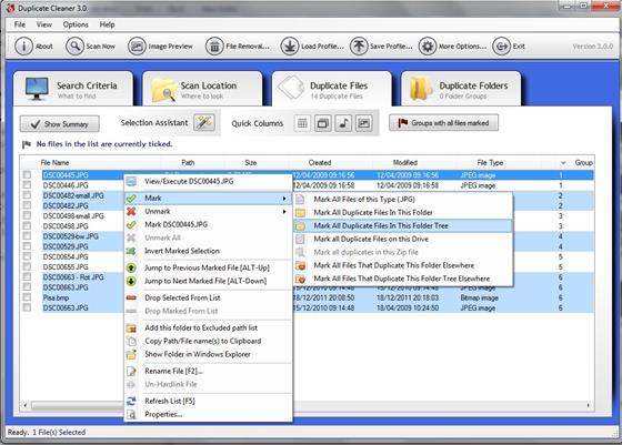 Скриншот программы duplicate cleaner