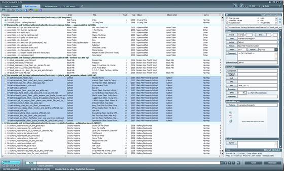 Скриншот программы tagscanner