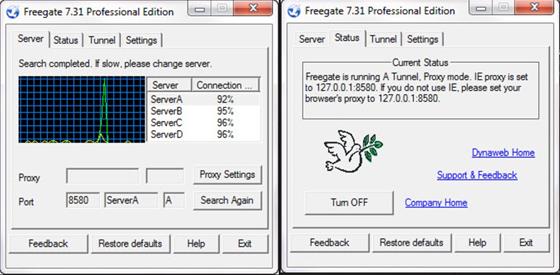 Скриншот программы freegate